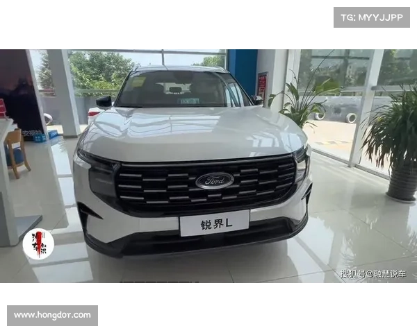 中保研全G+车顶承重5台车!锐界L安全实测:全家出行的底气 中保研全G+车顶承重5台车!锐界L安全实测:全家出行的底气
